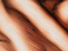 https://image.noelshack.com/fichiers/2019/10/6/1552088292-45-w75h2ku0.png