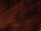 https://image.noelshack.com/fichiers/2019/10/6/1552088293-57-w75h2ku0.png