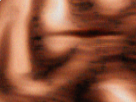 https://image.noelshack.com/fichiers/2019/10/6/1552088293-66-w75h2ku0.png