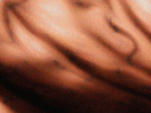 https://image.noelshack.com/fichiers/2019/10/6/1552088293-68-w75h2ku0.png