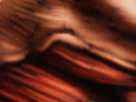 https://image.noelshack.com/fichiers/2019/10/6/1552088293-74-w75h2ku0.png