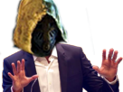 https://image.noelshack.com/fichiers/2019/10/7/1552208617-fh-sp-risitas-att.png