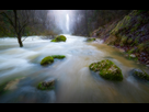 https://image.noelshack.com/fichiers/2019/11/1/1552324047-dsc09930-modifier-modifier.jpg