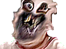 https://image.noelshack.com/fichiers/2019/11/6/1552773920-34985.png