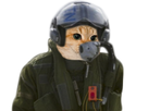 https://image.noelshack.com/minis/2019/12/2/1552995631-chat3.png