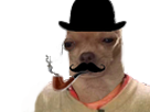 https://image.noelshack.com/fichiers/2019/12/2/1553027476-25923-full.png