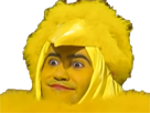 https://image.noelshack.com/fichiers/2019/12/3/1553102762-papa.png