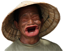 https://image.noelshack.com/fichiers/2019/12/4/1553156239-chintoc.png