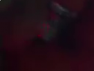 https://image.noelshack.com/fichiers/2019/12/5/1553283483-11-228ytmj1.png