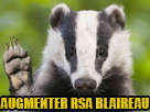 https://image.noelshack.com/fichiers/2019/12/6/1553323420-rsablaireau.jpg