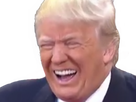 https://image.noelshack.com/fichiers/2019/12/6/1553377040-1479917717-trump2-5.png