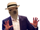 https://image.noelshack.com/fichiers/2019/13/1/1553549654-26543-full.png