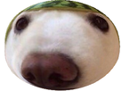 https://image.noelshack.com/fichiers/2019/13/3/1553718798-132427-full.png
