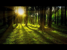 https://image.noelshack.com/fichiers/2019/13/4/1553800107-se-connecter-a-un-arbre-1024x576.jpg