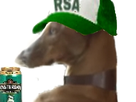 https://image.noelshack.com/minis/2019/13/5/1553816114-chienlepenrsa.png