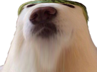 https://image.noelshack.com/fichiers/2019/13/5/1553897768-132426-full.png