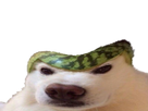 https://image.noelshack.com/fichiers/2019/13/5/1553897868-132432-full.png