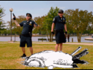 https://image.noelshack.com/fichiers/2019/14/4/1554375712-tumblr-m46evbpk5p1qb1zx2o1-500.gif
