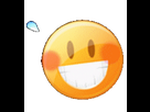https://image.noelshack.com/fichiers/2019/14/4/1554390899-410.gif