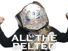 https://image.noelshack.com/fichiers/2019/14/5/1554494085-utami-all-the-belt.png