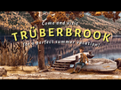 https://image.noelshack.com/fichiers/2019/14/7/1554639817-truber-header-b1d03.jpg