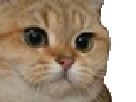 https://image.noelshack.com/fichiers/2019/15/2/1554826941-61959-full.png