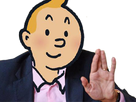 https://image.noelshack.com/fichiers/2019/15/5/1555029121-tintin-zemmour.png