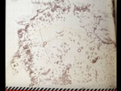 https://image.noelshack.com/fichiers/2019/15/7/1555276771-daysgonemap.jpg