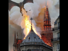 https://image.noelshack.com/fichiers/2019/16/1/1555359296-1555359063422.jpg