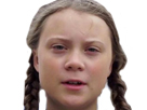 https://image.noelshack.com/fichiers/2019/16/5/1555667323-gretathunberg.jpg