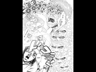 https://image.noelshack.com/fichiers/2019/16/7/1555833896-78406426a1b9e473babe6ab2426241b5.png