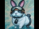 https://image.noelshack.com/fichiers/2019/17/1/1555917633-lapin-sauveteur-onde-de-choc-140x140.jpg