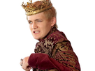 https://image.noelshack.com/fichiers/2019/17/1/1555948284-joffrey04.jpg