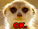 https://image.noelshack.com/minis/2019/17/1/1555960359-suricate-ok.png