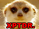 https://image.noelshack.com/fichiers/2019/17/1/1555961590-suricate-xptdr.png