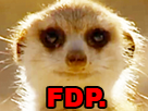 https://image.noelshack.com/fichiers/2019/17/1/1555961684-suricate-fdp.png