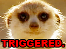 https://image.noelshack.com/fichiers/2019/17/1/1555961781-suricate-triggered.png