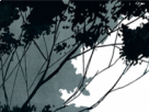 https://image.noelshack.com/fichiers/2019/17/2/1556009794-2-zaftge2l.png