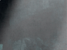 https://image.noelshack.com/fichiers/2019/17/2/1556009796-10-zaftge2l.png