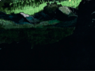 https://image.noelshack.com/fichiers/2019/17/2/1556009798-24-zaftge2l.png