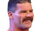 https://image.noelshack.com/fichiers/2019/17/2/1556049970-robert-roode.png