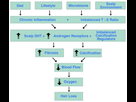 https://image.noelshack.com/fichiers/2019/17/3/1556102001-ultimate-hair-loss-flowchart-1024x886.jpg