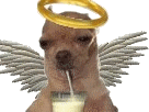 https://image.noelshack.com/fichiers/2019/17/6/1556387461-75819-full.gif
