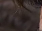 https://image.noelshack.com/fichiers/2019/17/7/1556402604-8-9rqvlbna.png