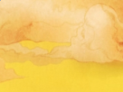 https://image.noelshack.com/fichiers/2019/17/7/1556403112-21-1hpynilj.png