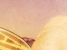https://image.noelshack.com/fichiers/2019/17/7/1556403412-10-el7m5b4k.png