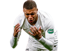 https://image.noelshack.com/fichiers/2019/17/7/1556482497-mbappe-mais-pourquoi.png