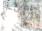 https://image.noelshack.com/fichiers/2019/18/4/1556795199-10465-full.gif