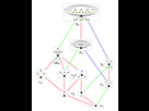 https://image.noelshack.com/fichiers/2019/18/4/1556824950-295px-symmetric-group-s4-lattice-of-subgroups-hasse-diagram-11-different-cycle-graphs-svg.png