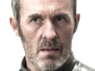 https://image.noelshack.com/fichiers/2019/18/6/1556924033-stannis3.png